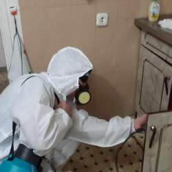 Дезинфекция от муравьев в квартире в Усть-Джегуте