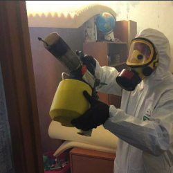 Уничтожение клопов в квартире. Усть-Джегута